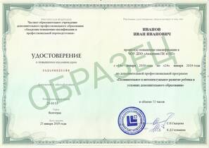Познавательное и интеллектуальное развитие ребенка в условиях дополнительного образования
