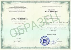 Педагогическая деятельность учителя по реализации программ начального общего образования в соответствии с ФГОС НОО