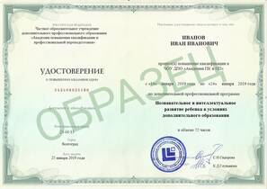 Познавательное и интеллектуальное развитие ребенка в условиях дополнительного образования