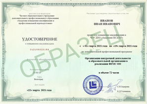 Организация внеурочной деятельности в образовательной организации в условиях реализации ФГОС ОО